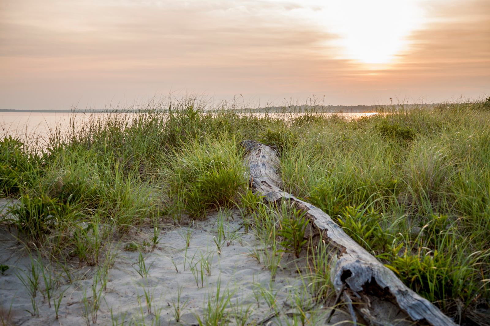 First Seacoast Bank